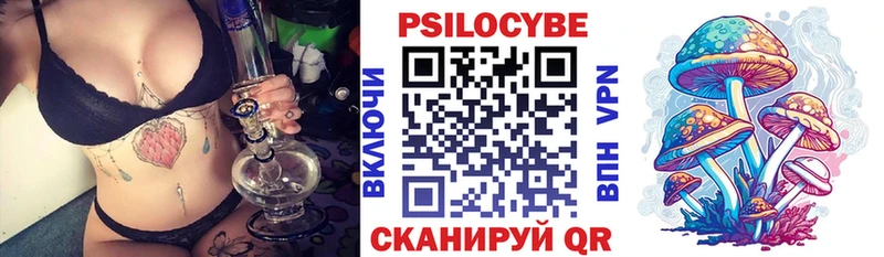 KRAKEN рабочий сайт купить наркоту Бийск Галлюциногенные грибы Psilocybine cubensis
