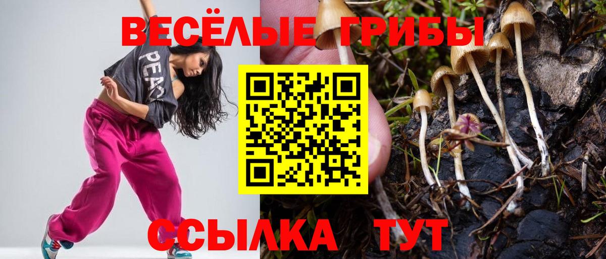 Галлюциногенные грибы Magic Shrooms Бийск