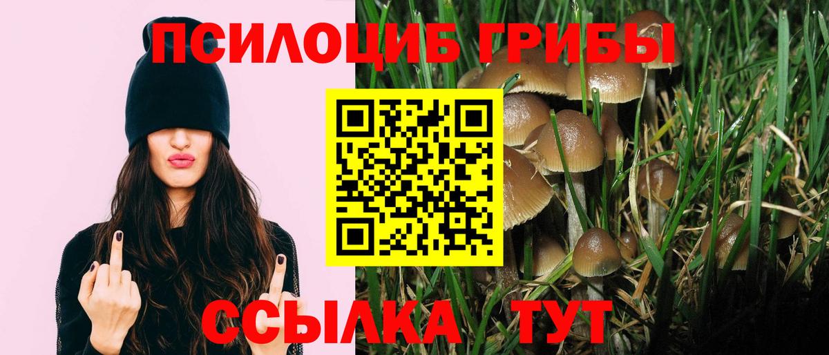 Галлюциногенные грибы Cubensis  Вход с VPN  Бийск 